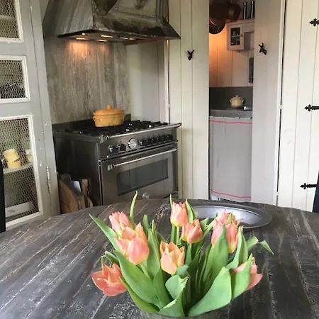 Pracht Van I *